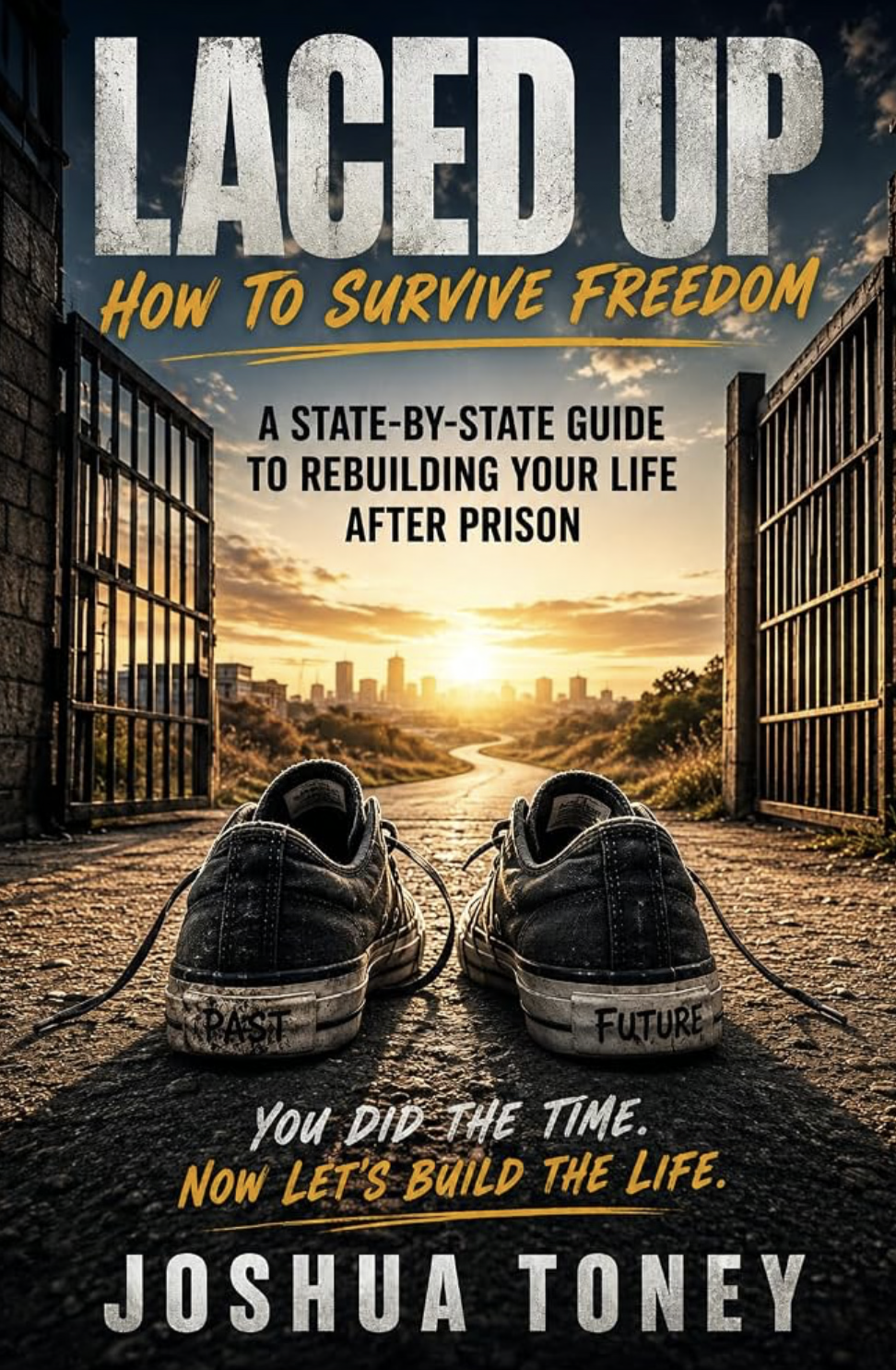 Laced Up: A 90-Day Journey — book cover